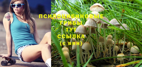 мяу мяу мука Алексеевка