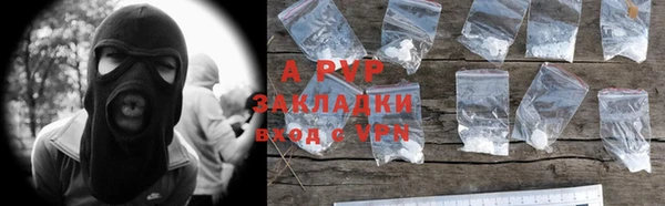 гашик Алексин