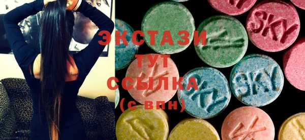 гашик Алексин