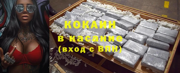 гашик Алексин