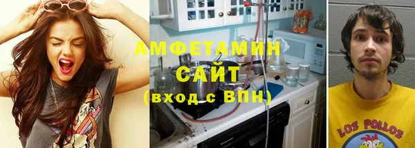 гашик Алексин