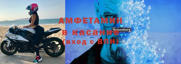 гашик Алексин