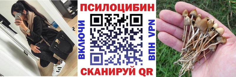 Псилоцибиновые грибы прущие грибы цены Талица