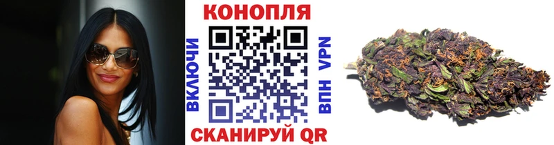 Конопля индика  Талица 